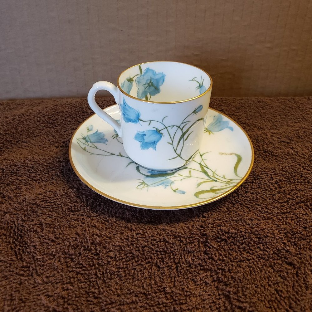 Blue Flowers Porcelain Tea Cup and Saucer Set Made in England Copelands China